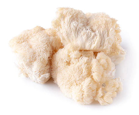 USDA Organic Lion's Mane fruiting body — the star compound in Flow Drops